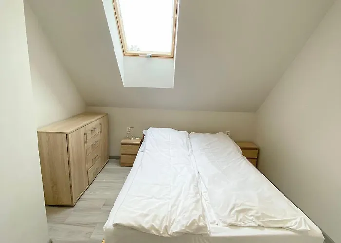 Double House Magi * 코바리